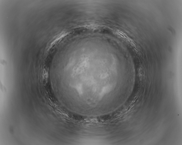 X0000091101302200708061411