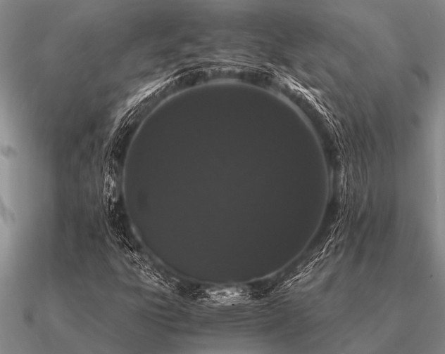 X0000091101303200708061411