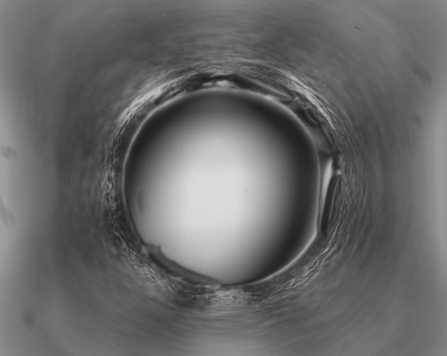 X0000091101304200708061411