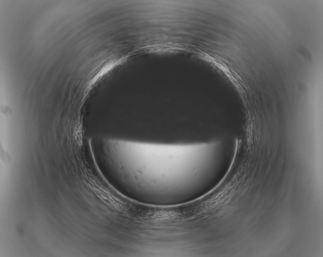 X0000091101306200708061411