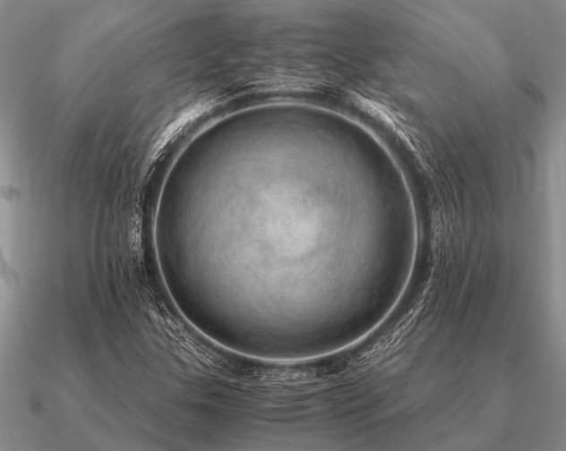 X0000091101307200708061411