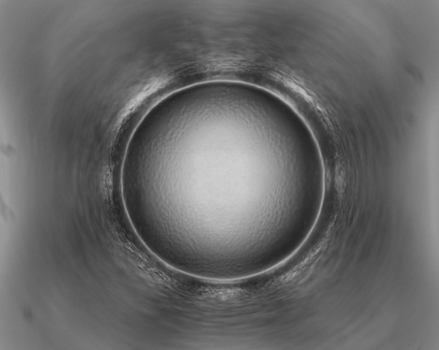 X0000091101309200708061411