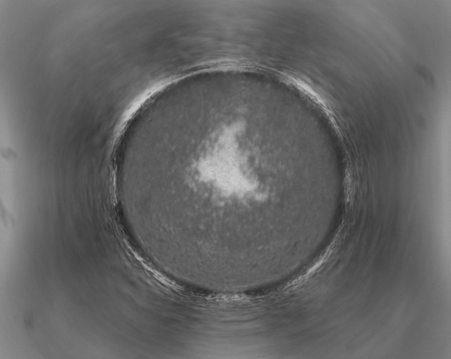 X0000091101310200708061411