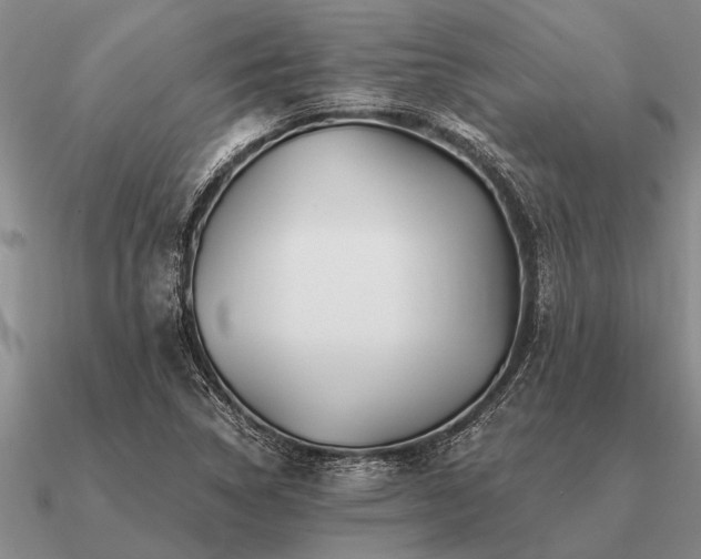 X0000091101314200708061411