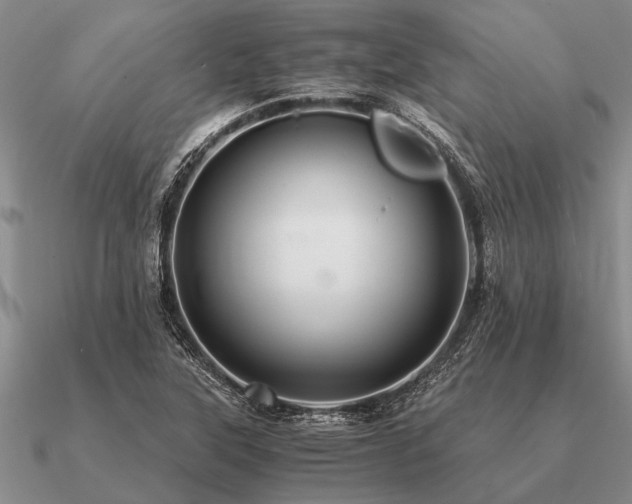 X0000091101315200708061411