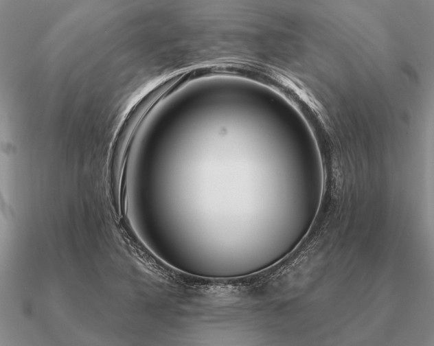 X0000091101316200708061411