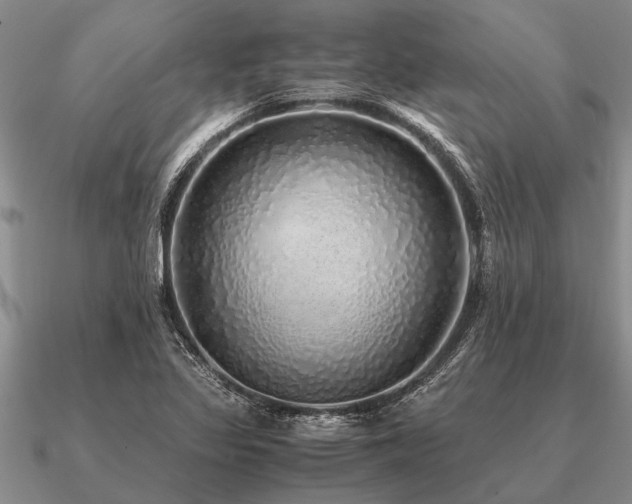 X0000091101317200708061411