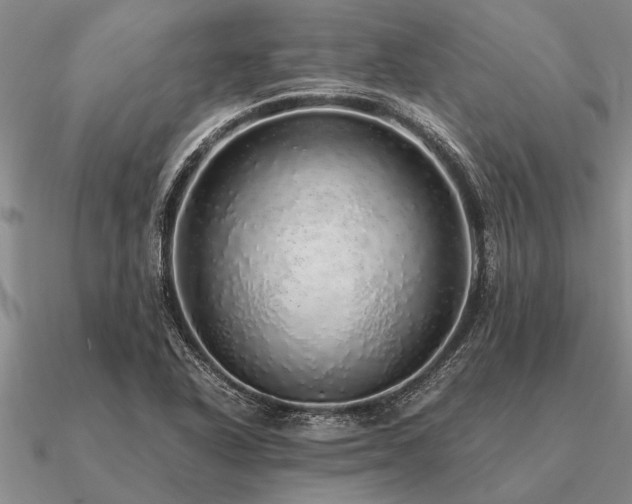 X0000091101318200708061411