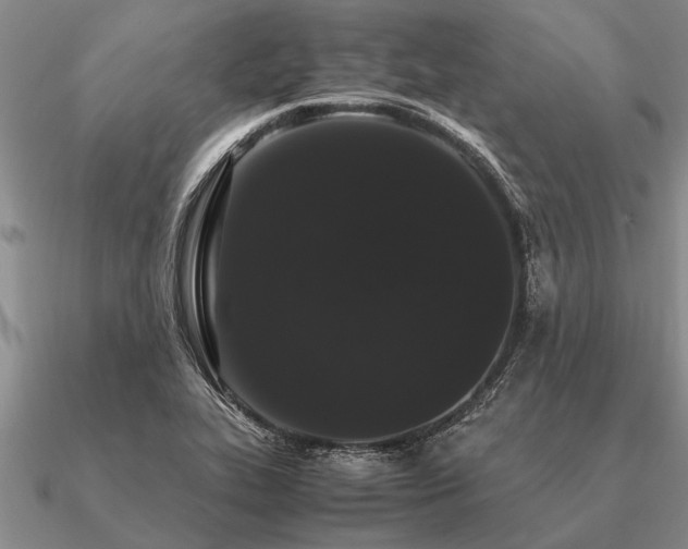 X0000091101319200708061411