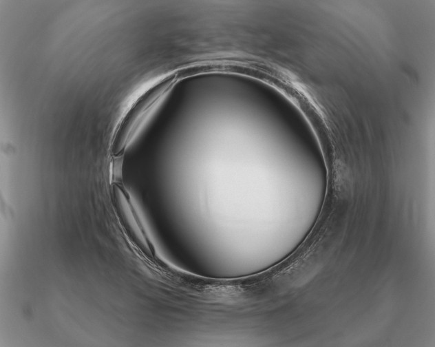 X0000091101320200708061411