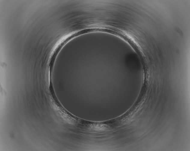 X0000091101323200708061411