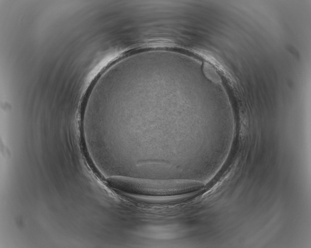 X0000091101325200708061411