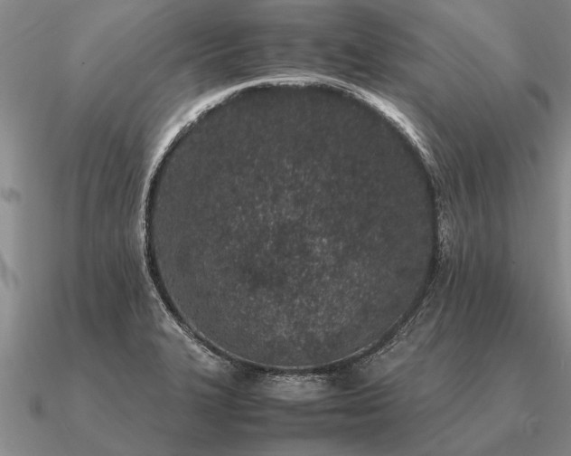 X0000091101327200708061412