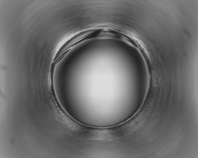 X0000091101328200708061412