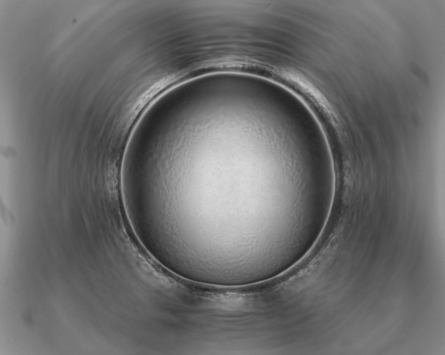 X0000091101329200708061412