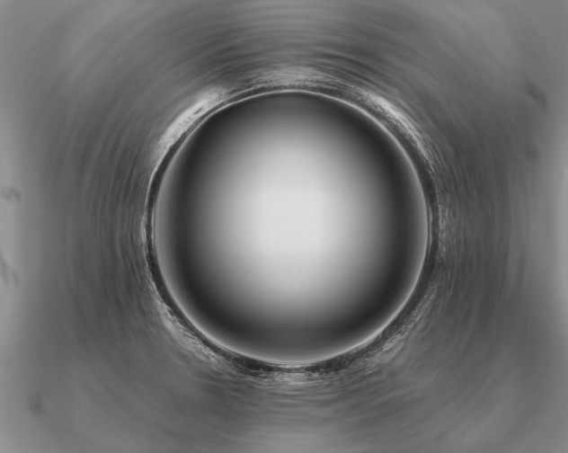 X0000091101330200708061412