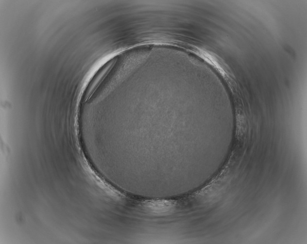 X0000091101331200708061412