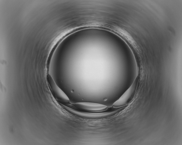 X0000091101332200708061412