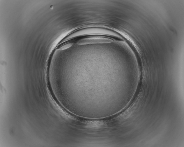 X0000091101333200708061412