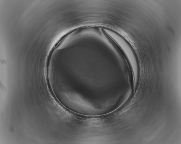 X0000091101334200708061412