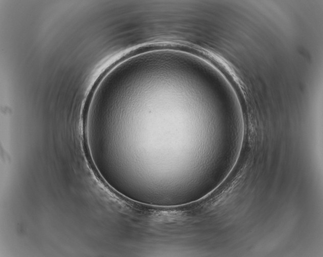 X0000091101335200708061412