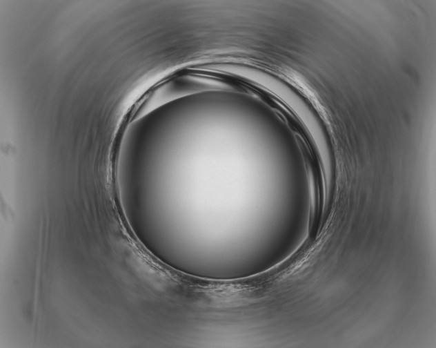 X0000091101336200708061412