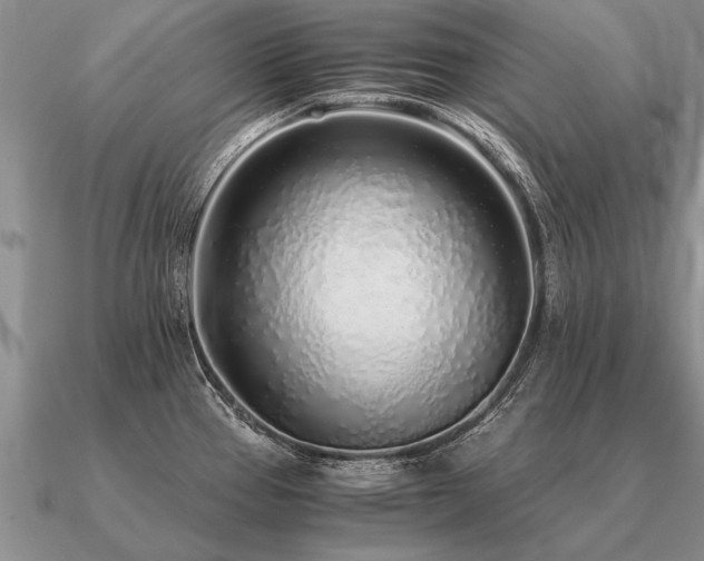 X0000091101337200708061412