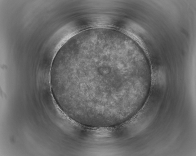 X0000091101338200708061412