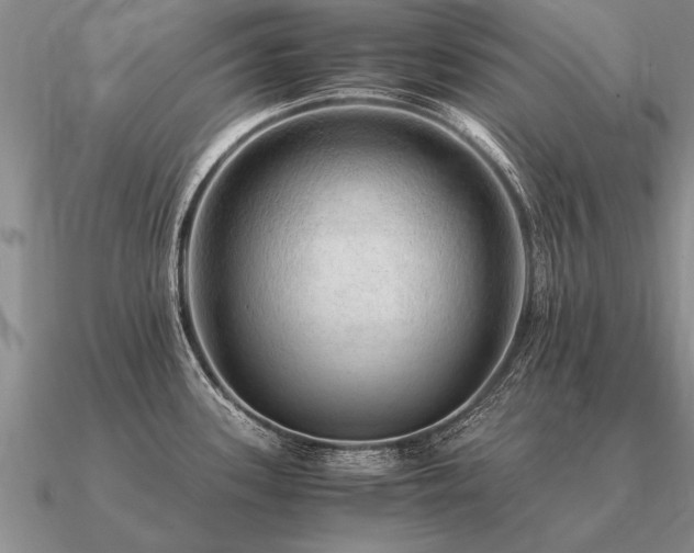 X0000091101339200708061412