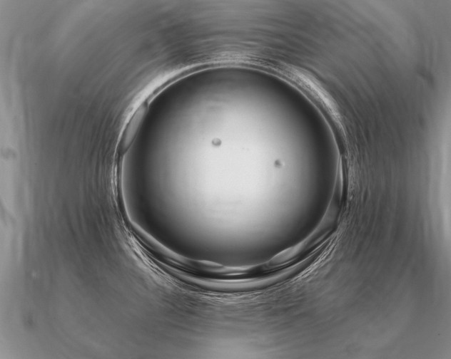 X0000091101340200708061412