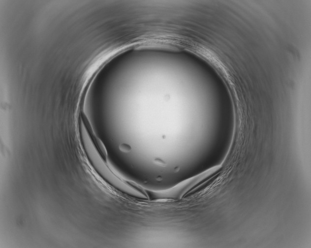 X0000091101344200708061412