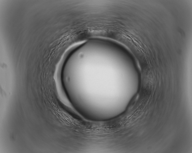 X0000091101345200708061411