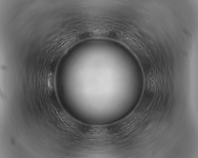 X0000091101346200708061411