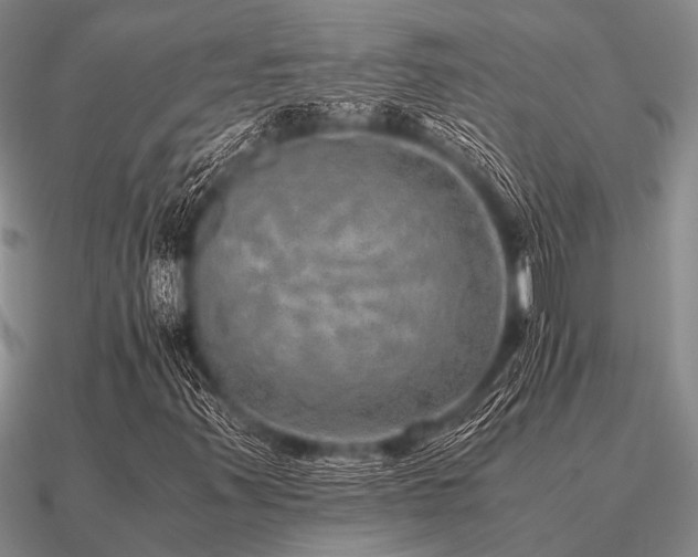 X0000091101347200708061411