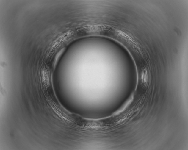 X0000091101348200708061411