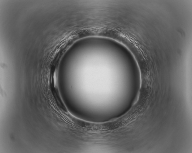 X0000091101349200708061411