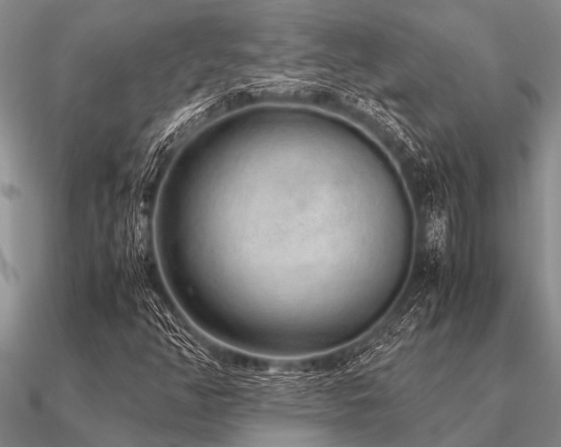 X0000091101350200708061411