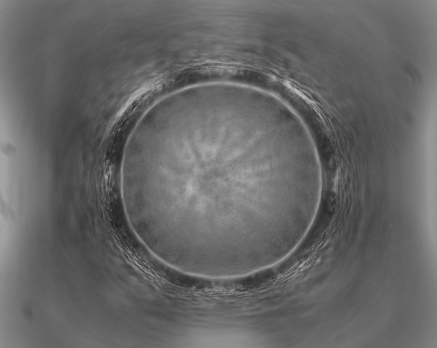 X0000091101351200708061411