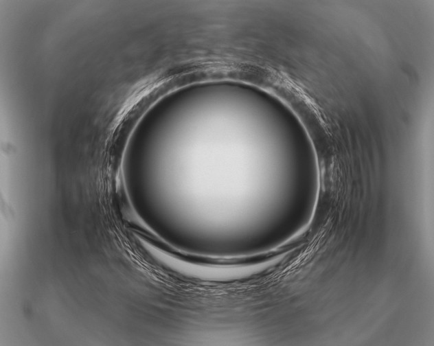 X0000091101352200708061411