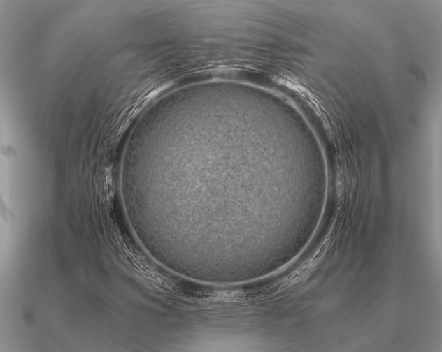 X0000091101353200708061411