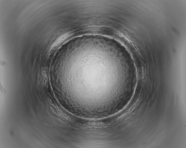 X0000091101354200708061411