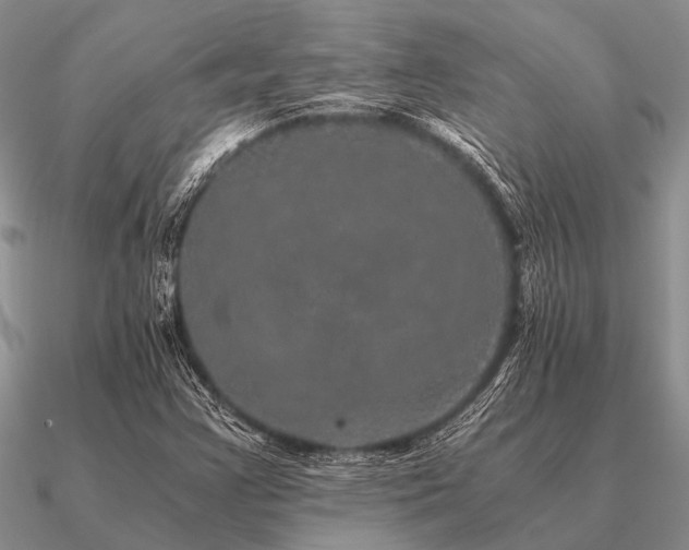 X0000091101355200708061411