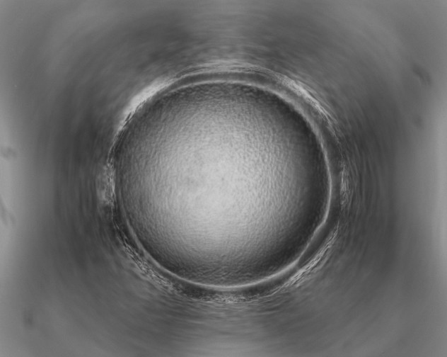 X0000091101358200708061411