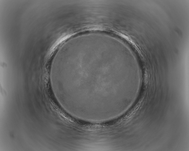 X0000091101359200708061411