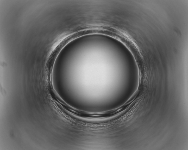 X0000091101360200708061411