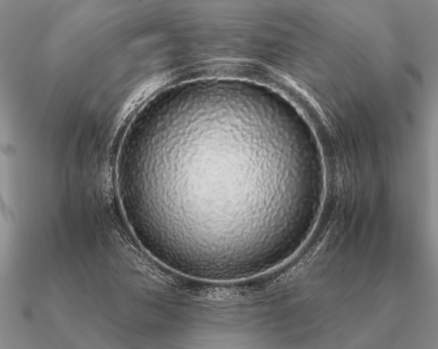 X0000091101362200708061411