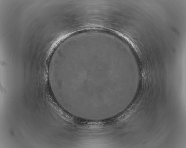 X0000091101363200708061411