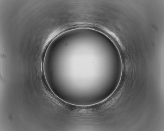 X0000091101365200708061411