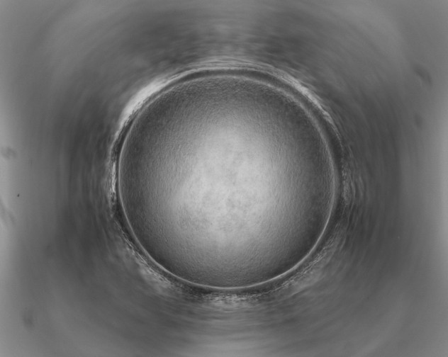 X0000091101366200708061411