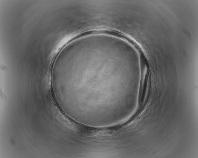 X0000091101367200708061411